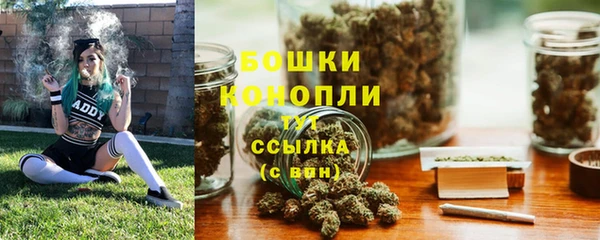 сатива Арсеньев